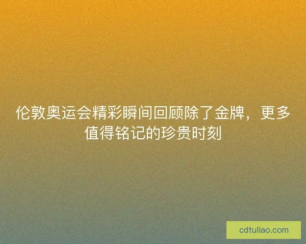 伦敦奥运会精彩瞬间回顾除了金牌，更多值得铭记的珍贵时刻