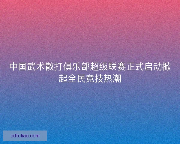 中国武术散打俱乐部超级联赛正式启动掀起全民竞技热潮